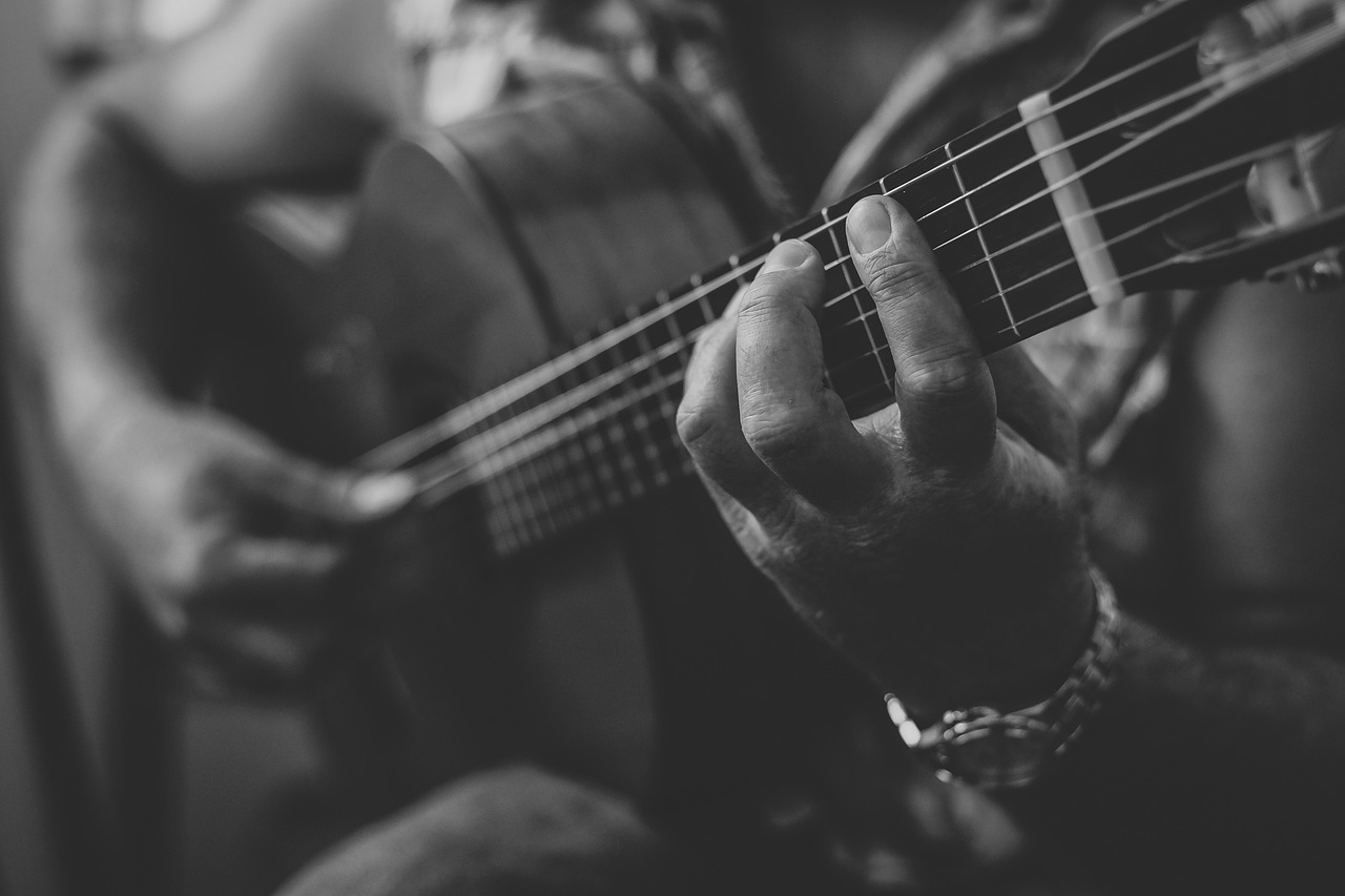 guitar, musician, music-2428921.jpg